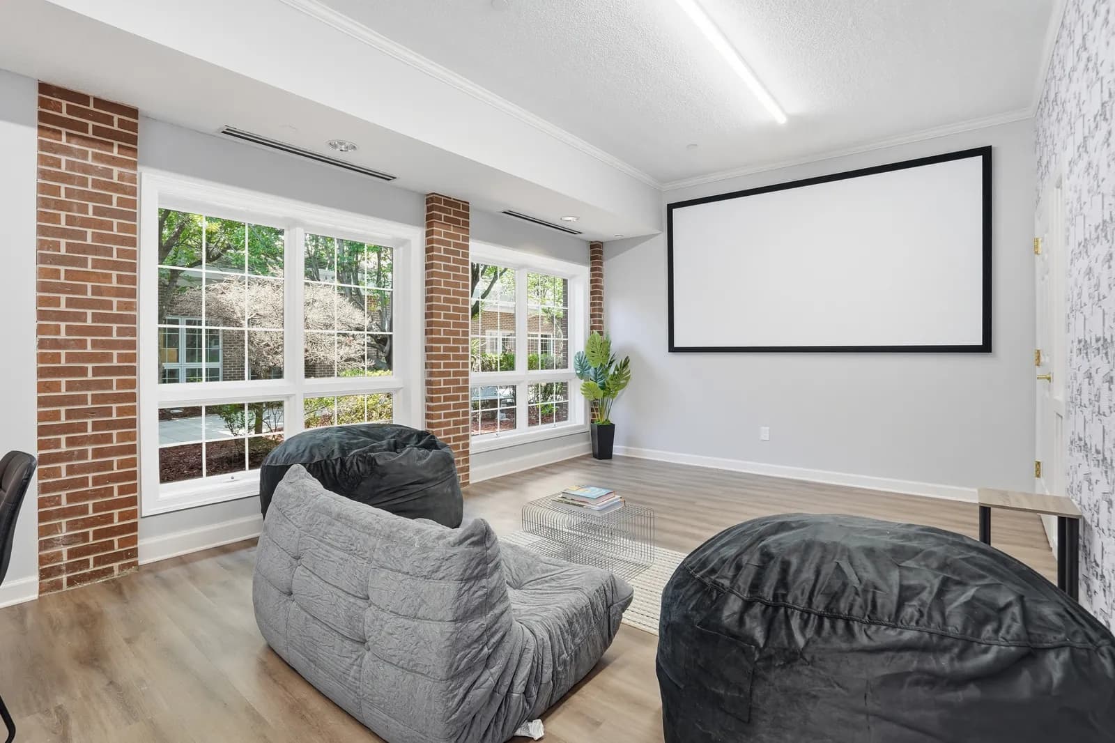 The media room, with a projector screen